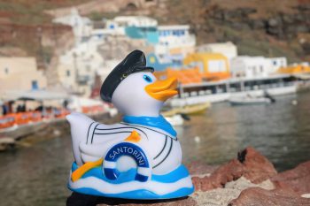 Greek Ducks in Santorini